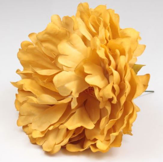 Peony Flower Paris Mustard Colour