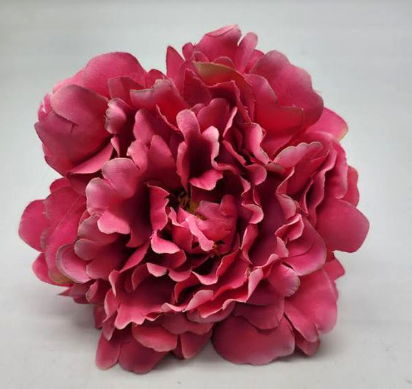 フラメンコ・フラワー Classic Cherry Peony。 12cm