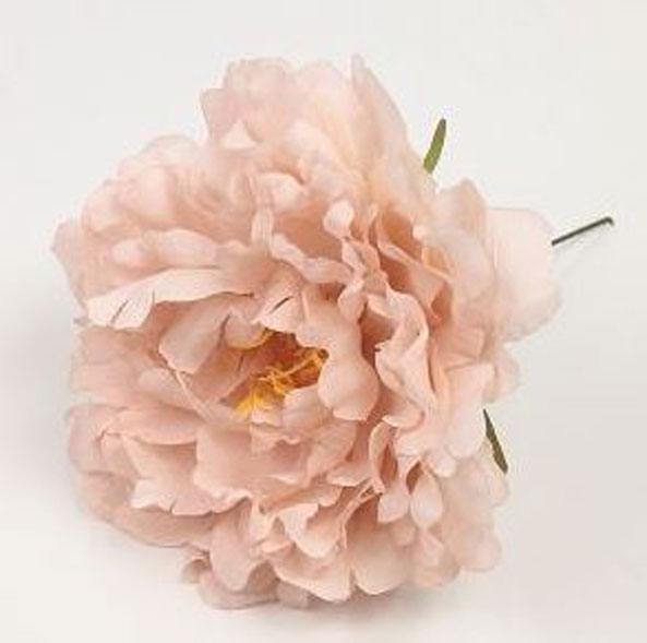 Pivoine Feria. Fleurs de Flamenco. Nude. 11cm