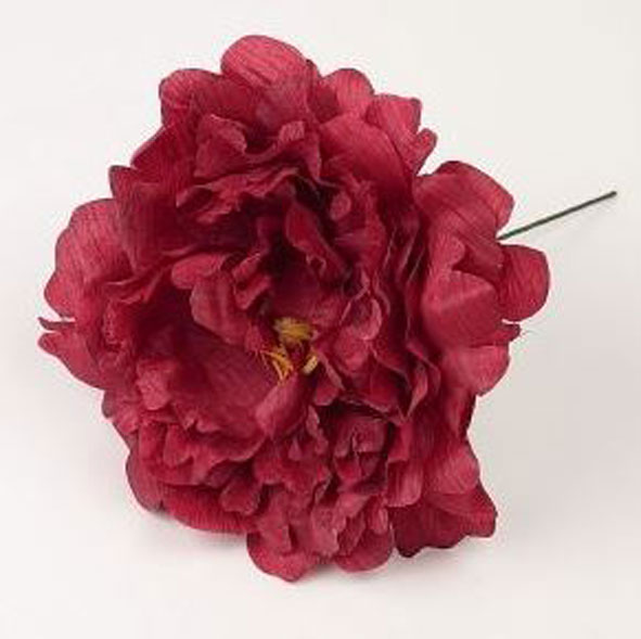 Pivoine Feria. Fleurs de Flamenco. Rouge 05. 11cm