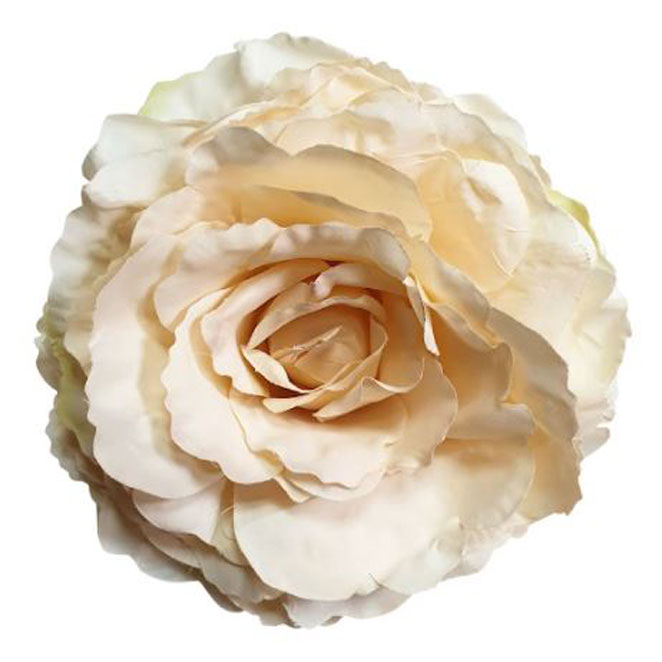 Rosa Grande King. Flor Flamenca Crema. 17cm