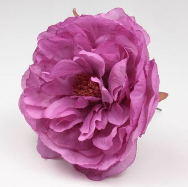 Peonia Sanlucar Fleurs flamenco. 12cm. Bougainvillier