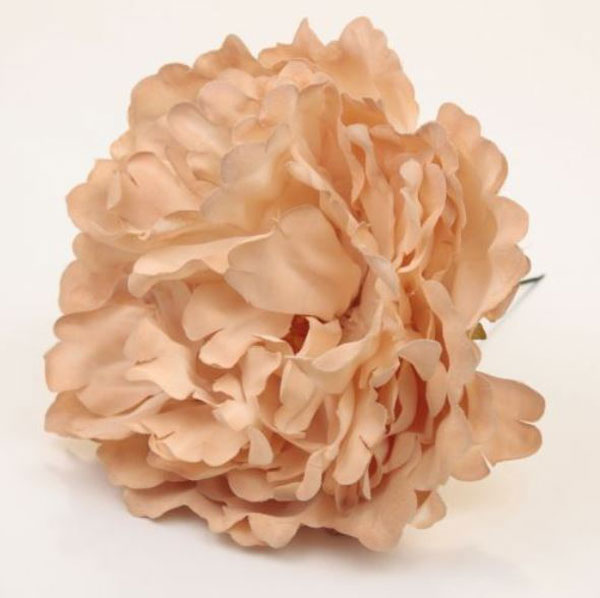 Peony Flower Paris Nude Colour. 16cm