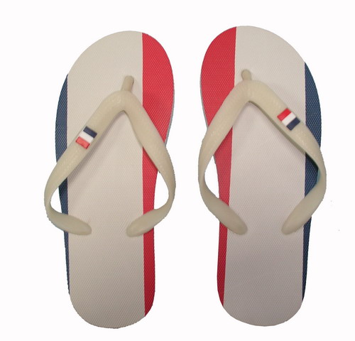 France flag slippers