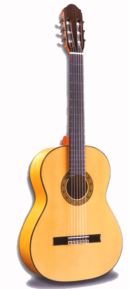 Flamenco Guitar. mod.125