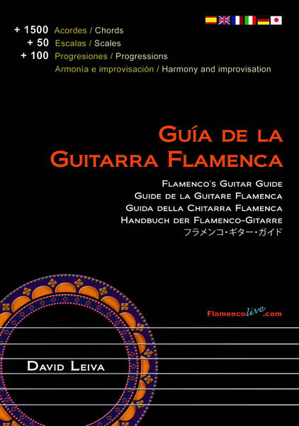 Flamenco Guitar Guide. David Leiva